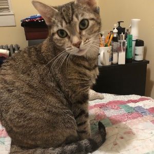 Meet your Posher, Riggs